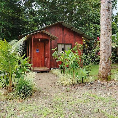 Citronela Lodge Corcovado Drake Bay Bagian luar foto