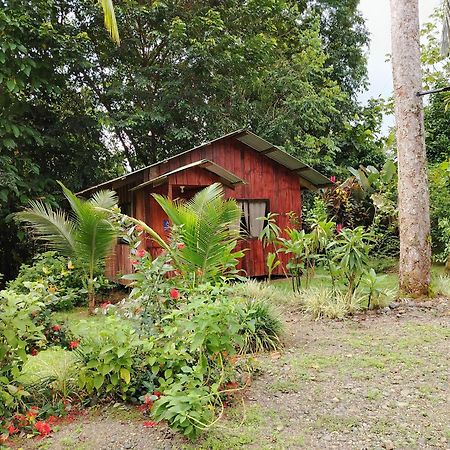 Citronela Lodge Corcovado Drake Bay Bagian luar foto