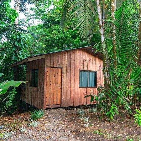 Citronela Lodge Corcovado Drake Bay Bagian luar foto