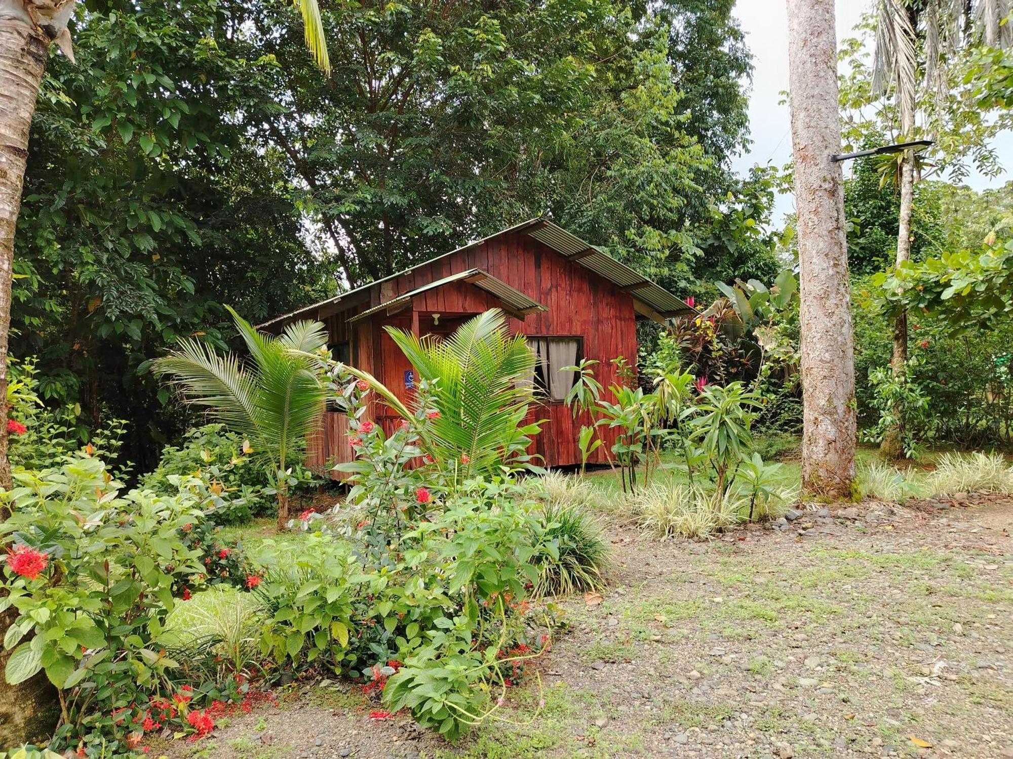 Citronela Lodge Corcovado Drake Bay Bagian luar foto