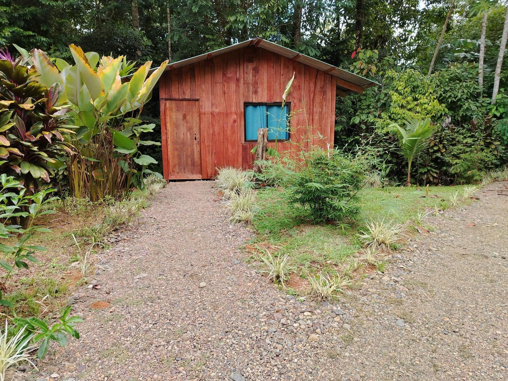 Citronela Lodge Corcovado Drake Bay Bagian luar foto