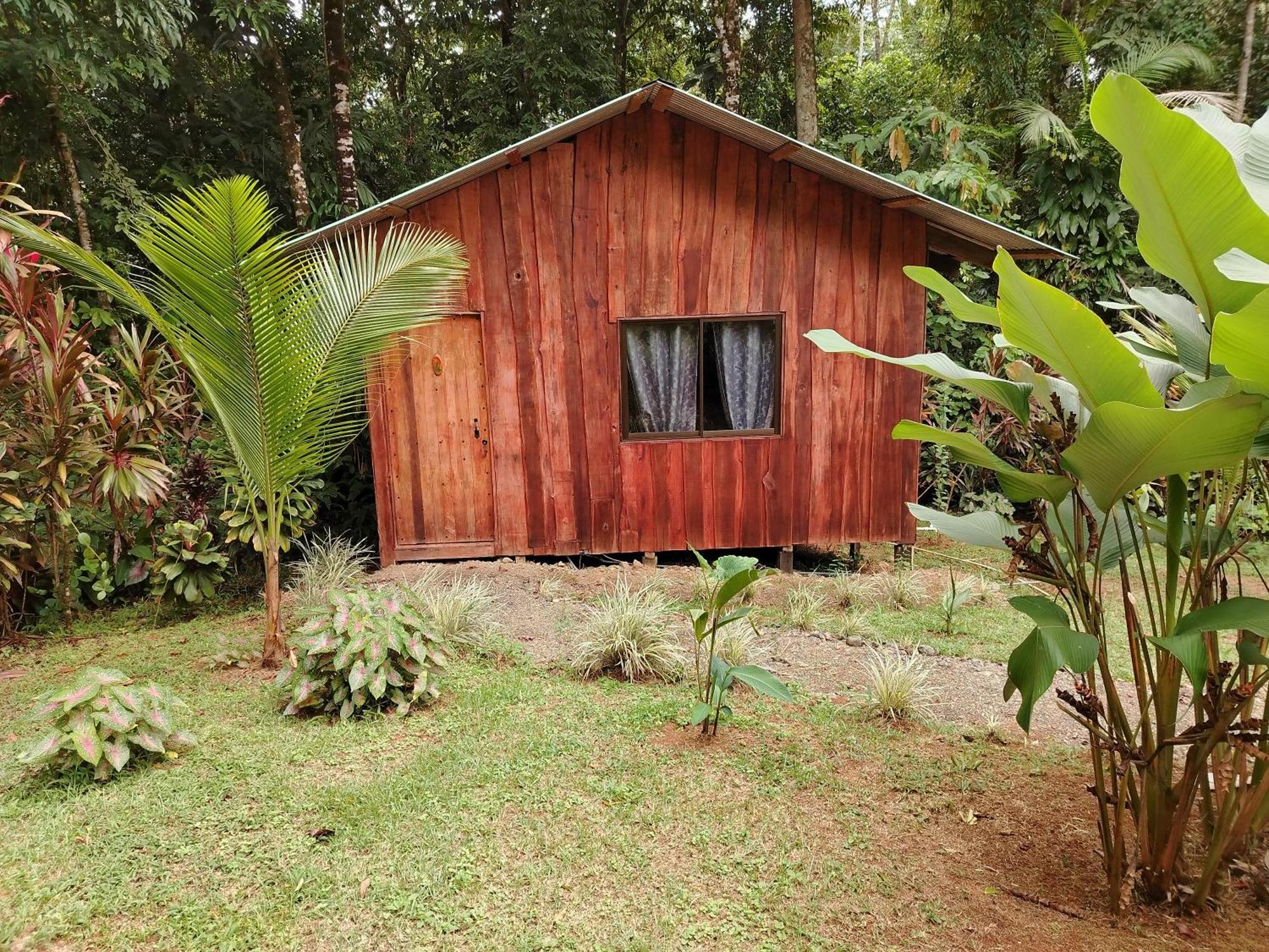 Citronela Lodge Corcovado Drake Bay Bagian luar foto