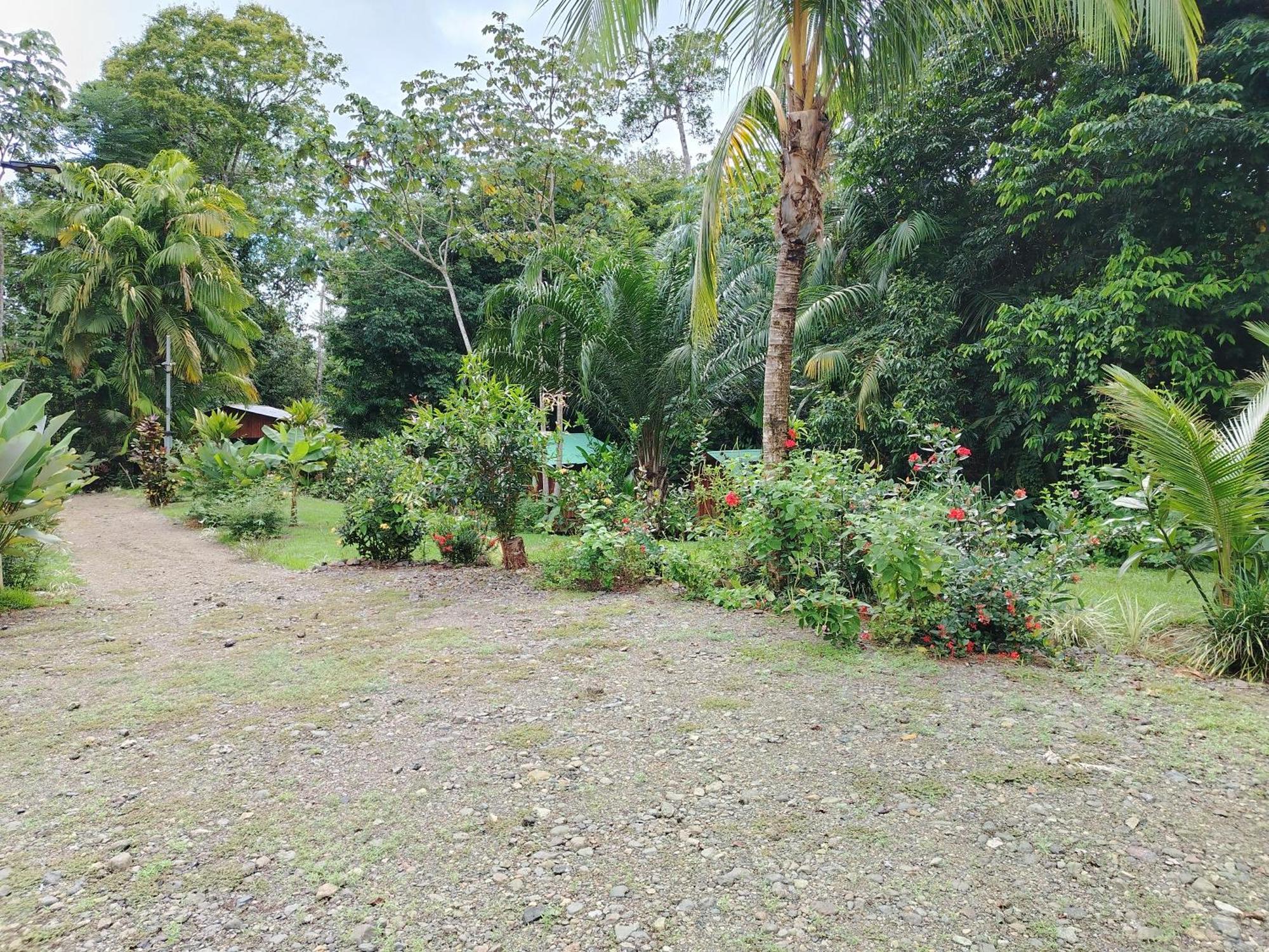 Citronela Lodge Corcovado Drake Bay Bagian luar foto