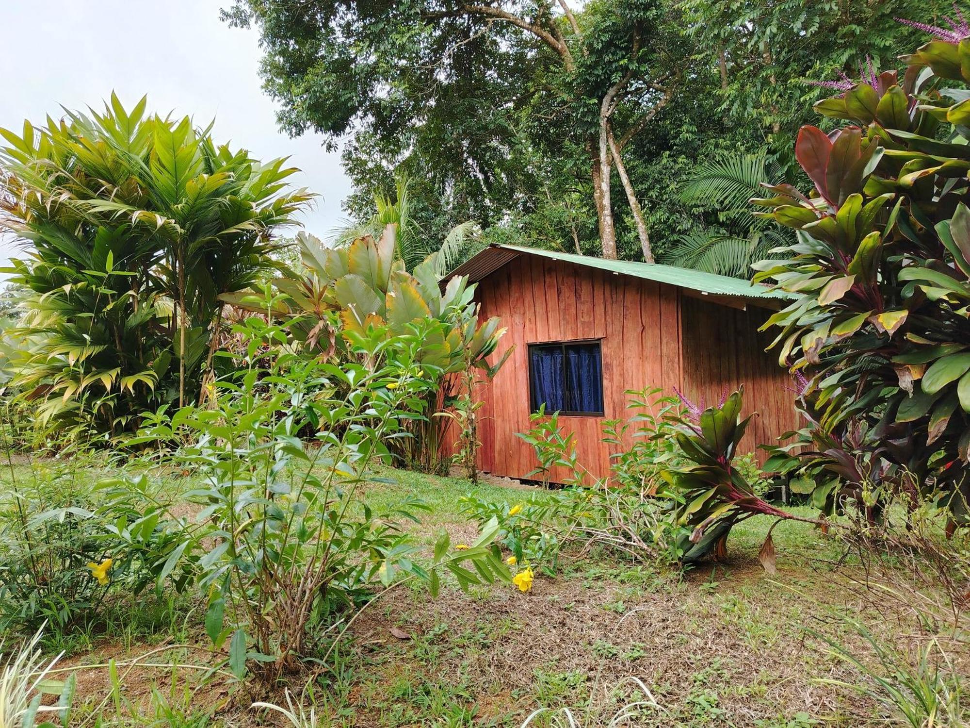 Citronela Lodge Corcovado Drake Bay Bagian luar foto
