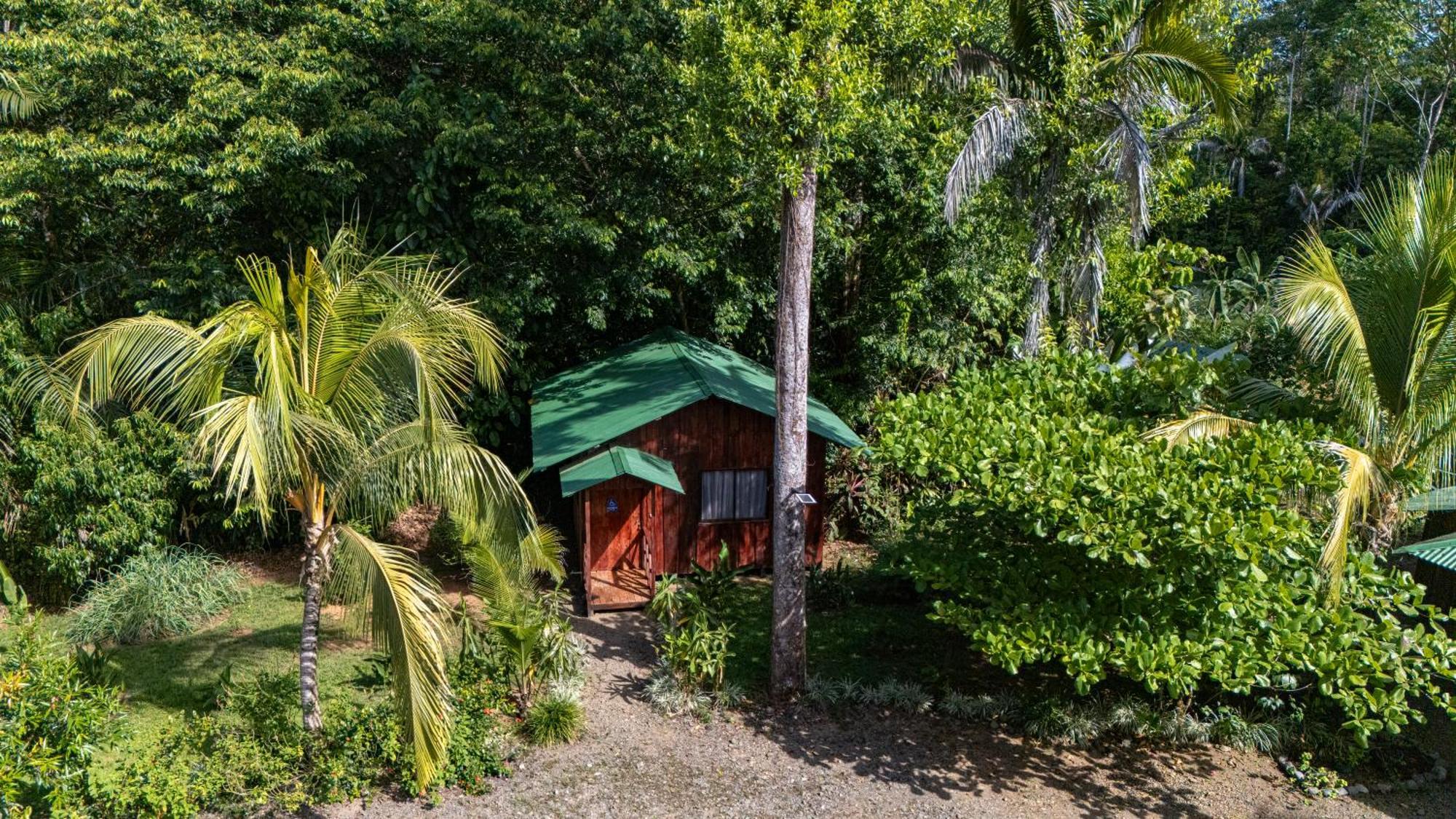 Citronela Lodge Corcovado Drake Bay Bagian luar foto