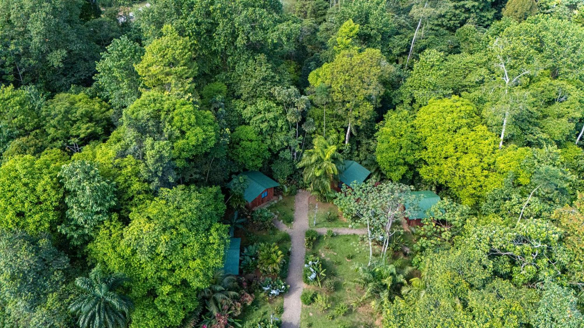 Citronela Lodge Corcovado Drake Bay Bagian luar foto