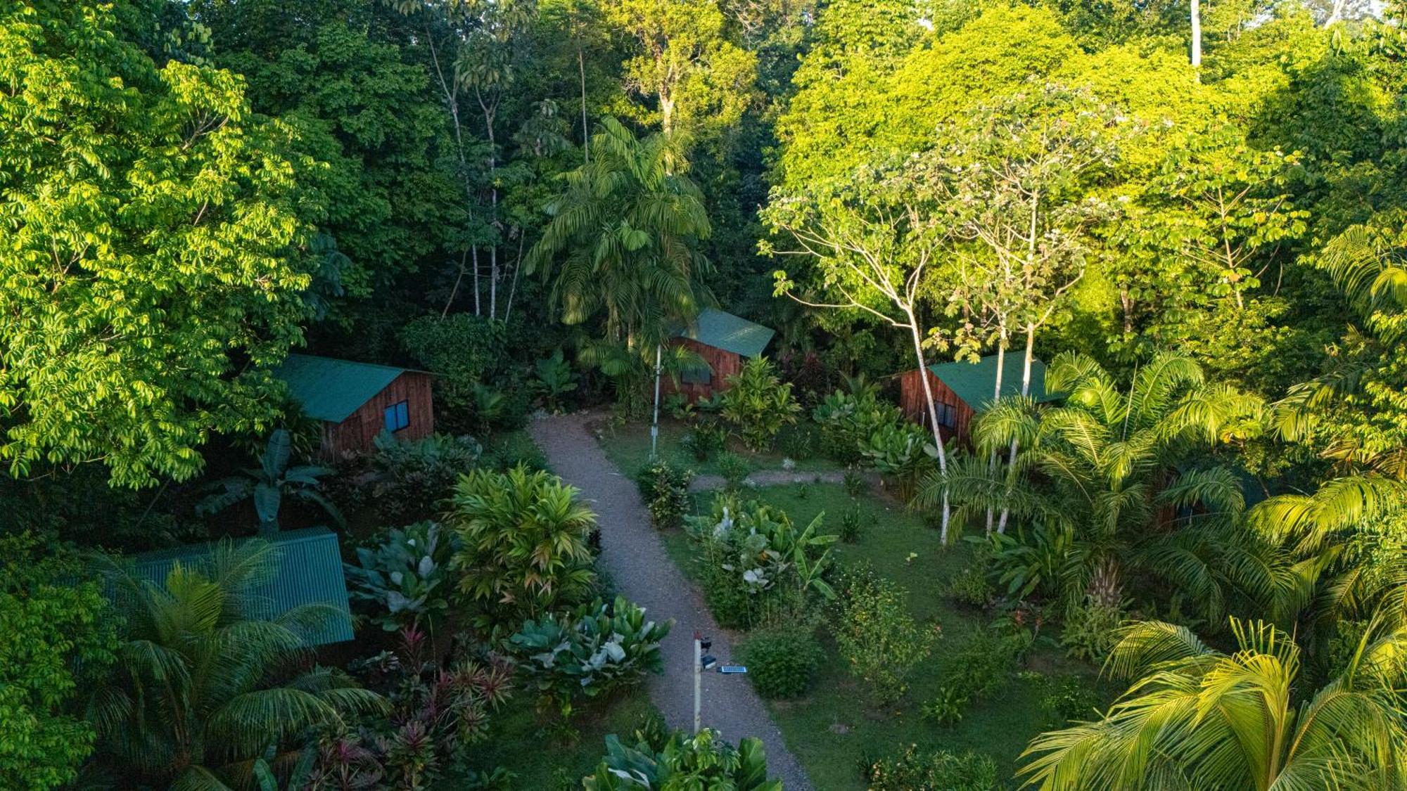Citronela Lodge Corcovado Drake Bay Bagian luar foto