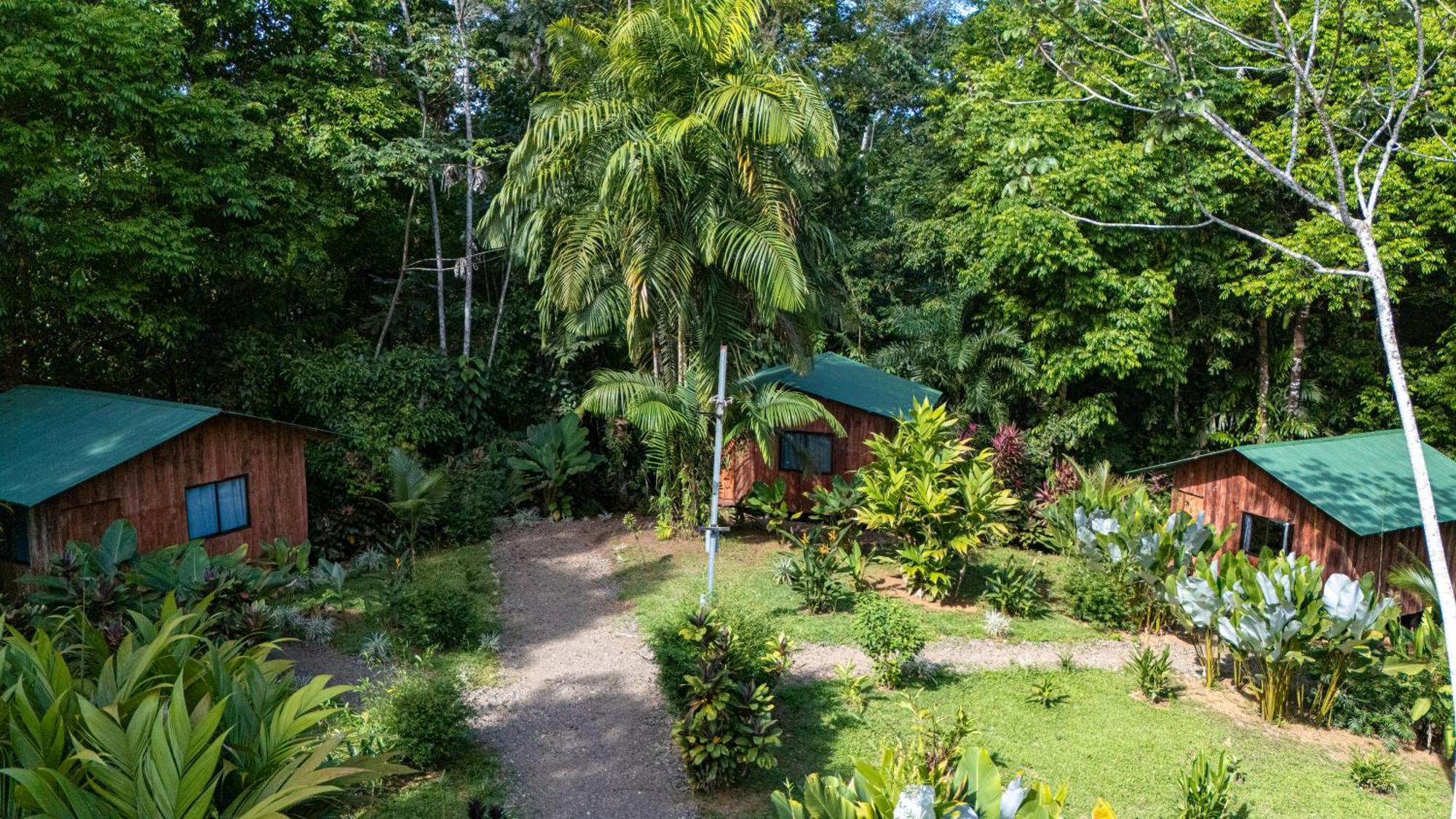 Citronela Lodge Corcovado Drake Bay Bagian luar foto