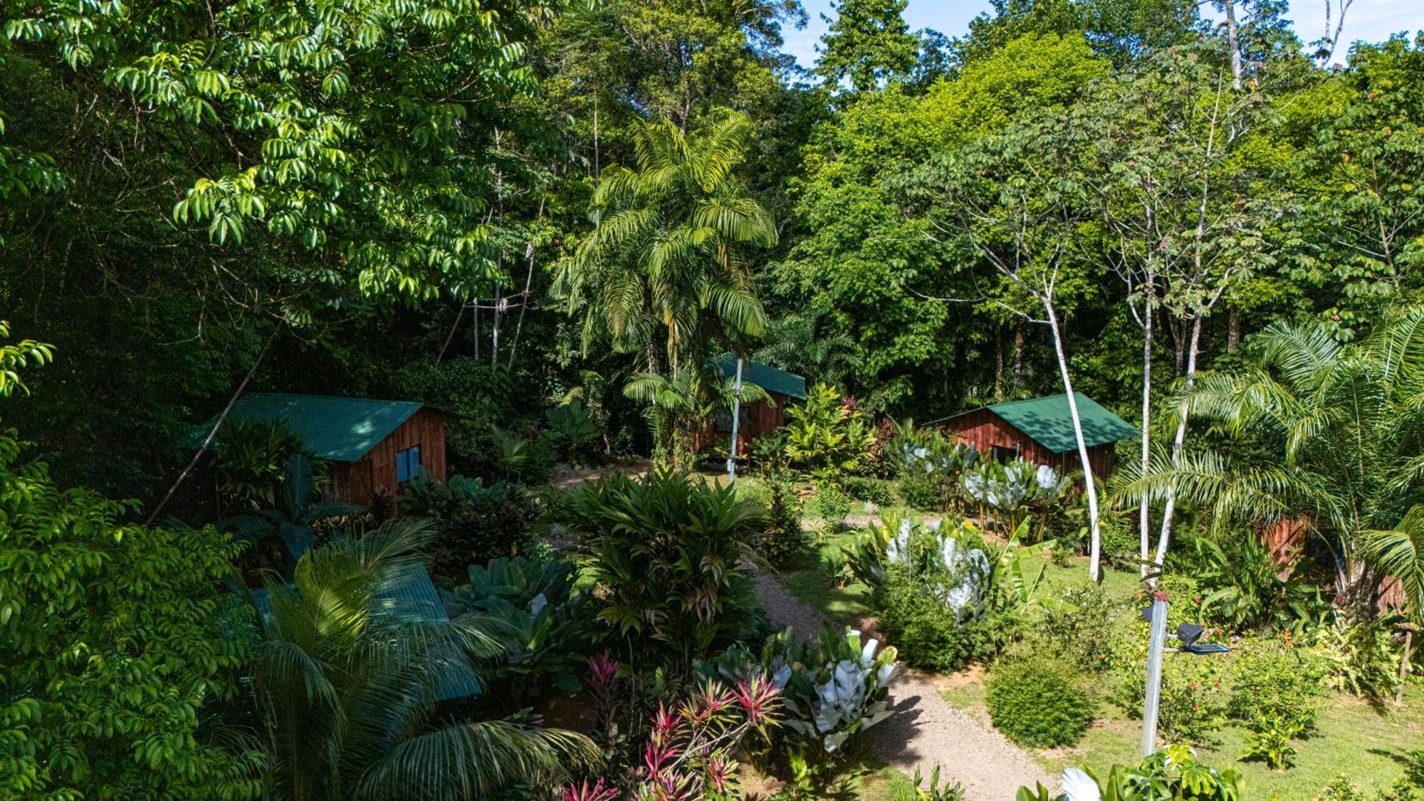 Citronela Lodge Corcovado Drake Bay Bagian luar foto
