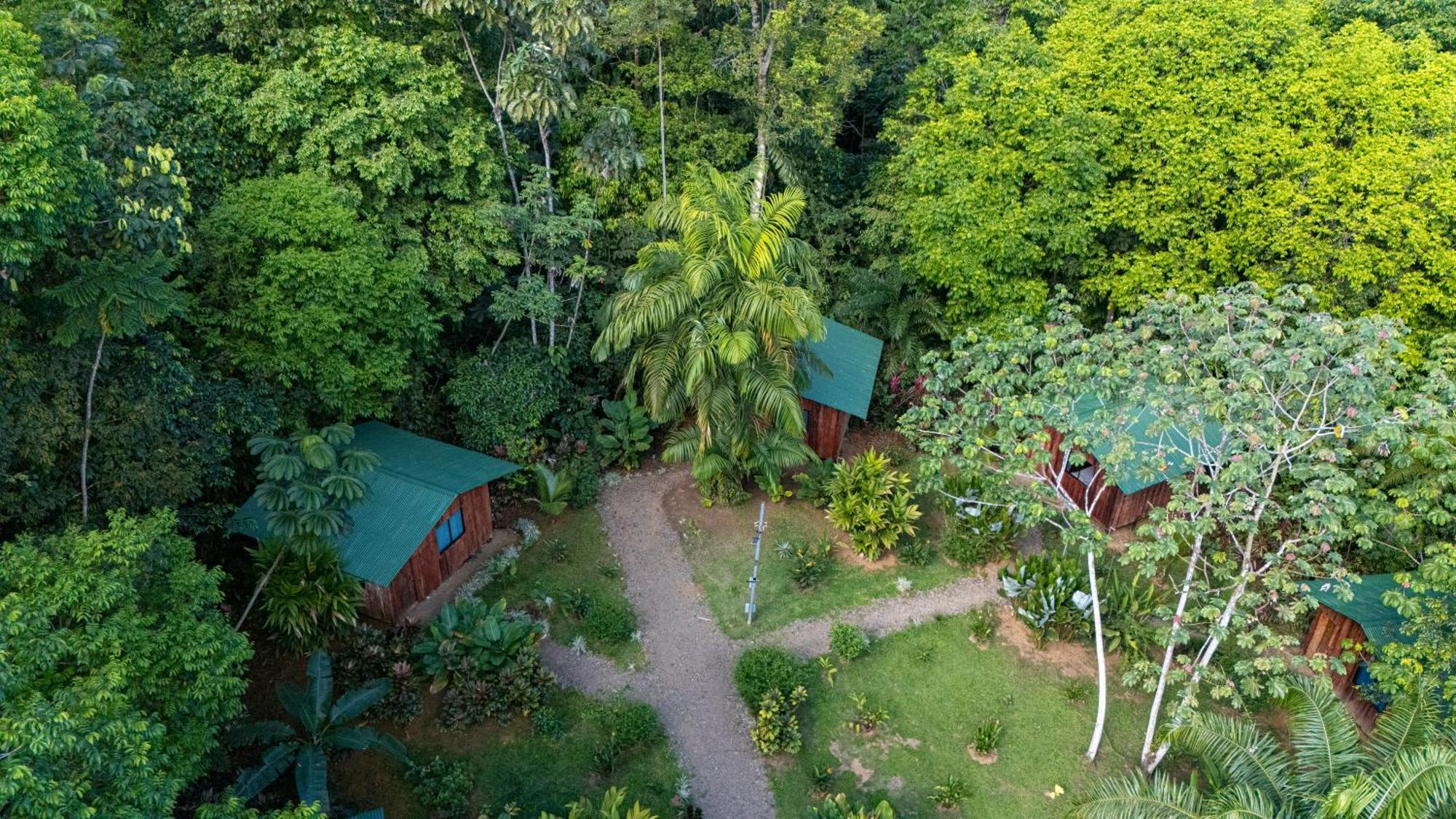 Citronela Lodge Corcovado Drake Bay Bagian luar foto