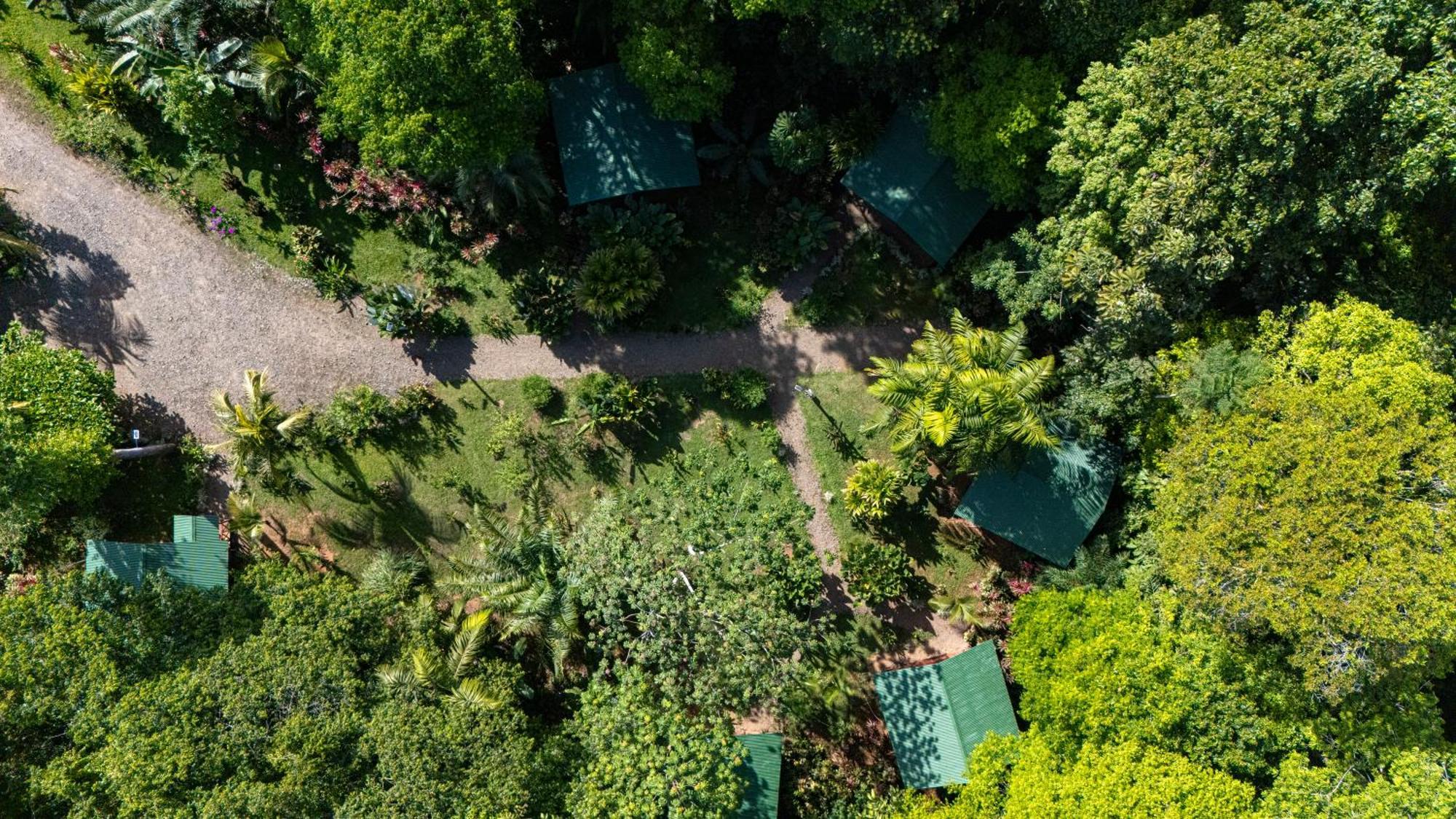 Citronela Lodge Corcovado Drake Bay Bagian luar foto