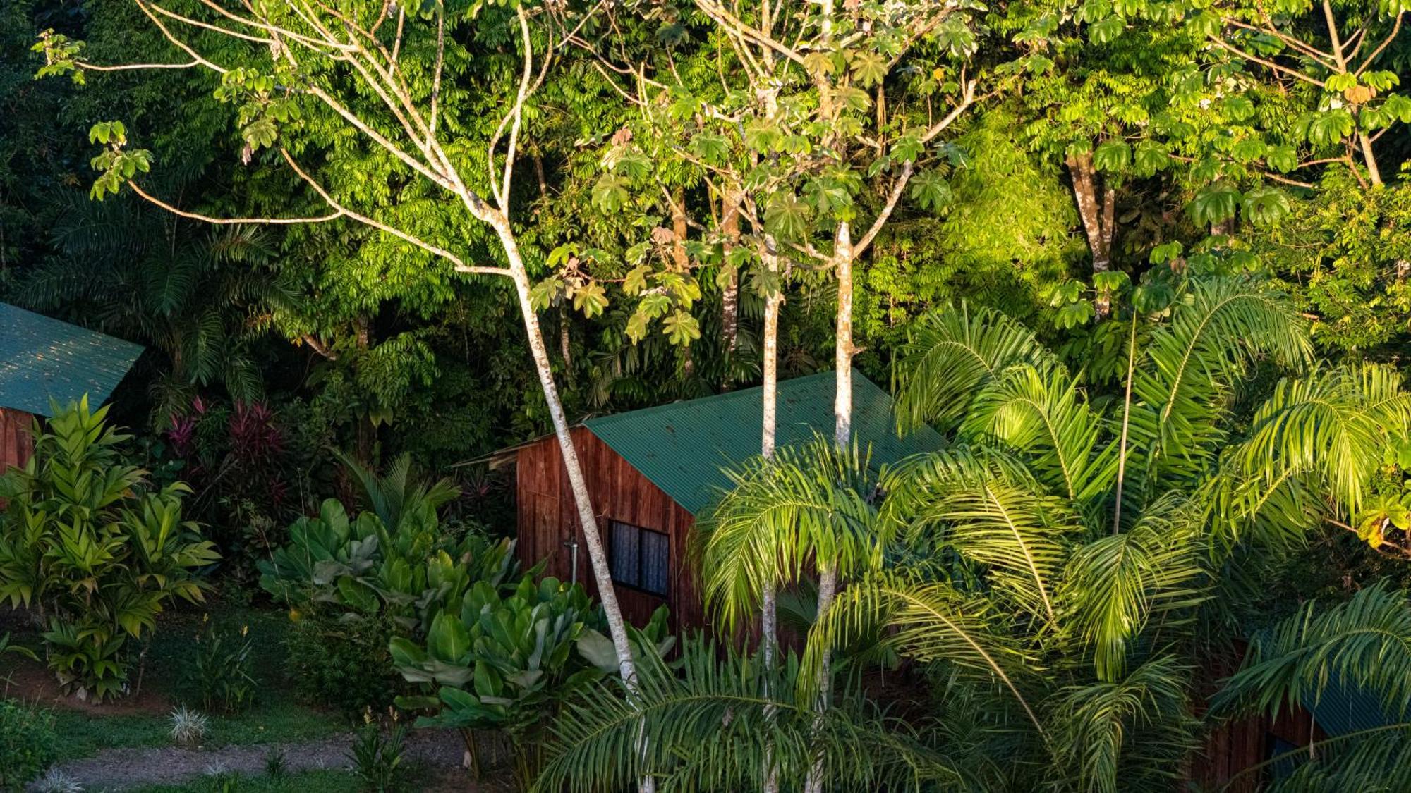 Citronela Lodge Corcovado Drake Bay Bagian luar foto