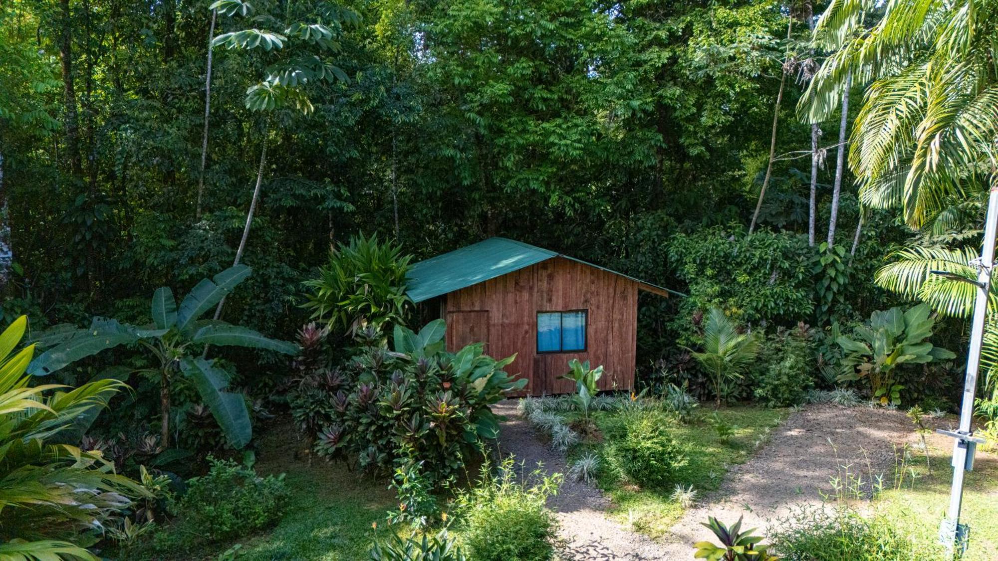 Citronela Lodge Corcovado Drake Bay Bagian luar foto