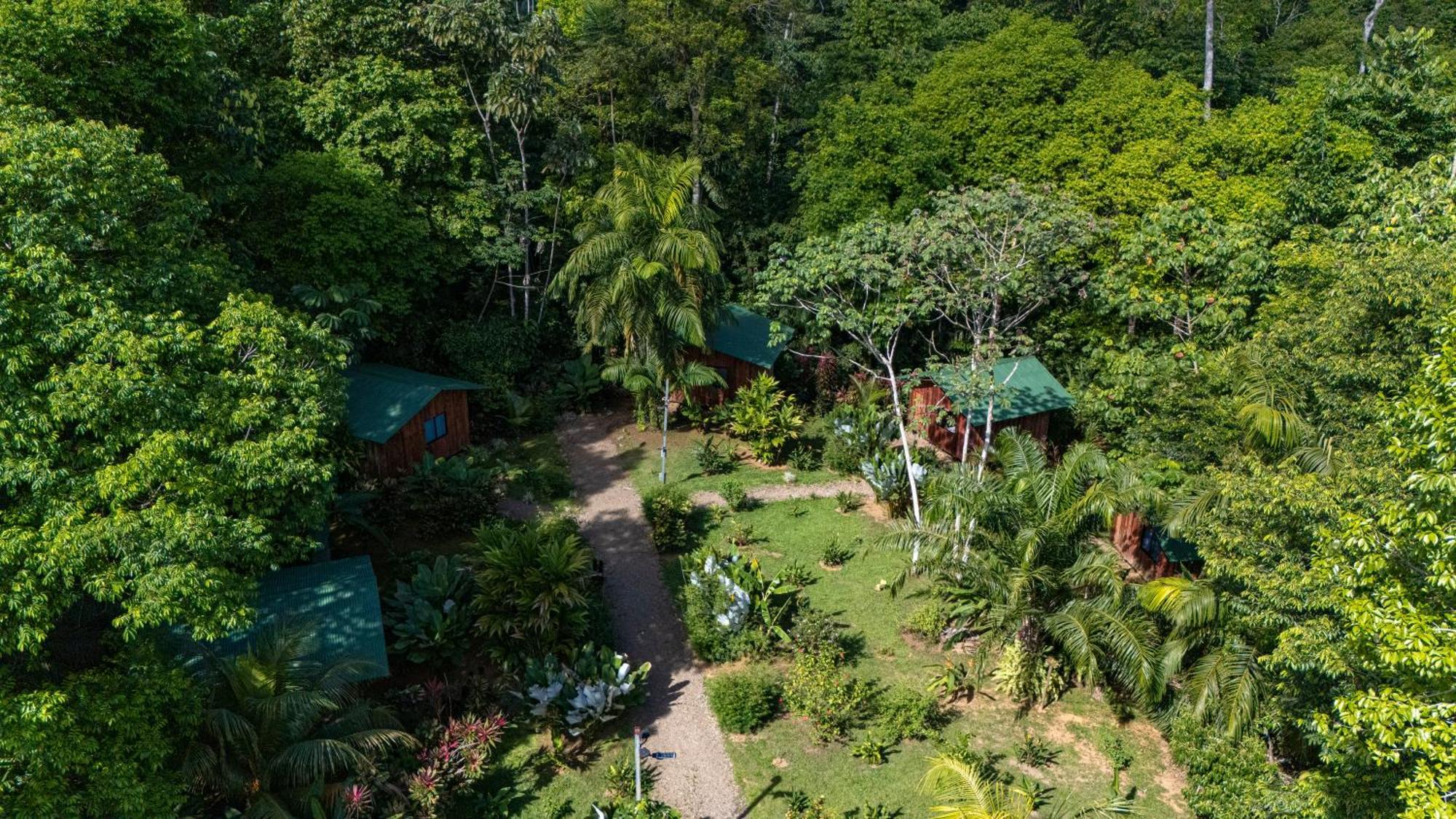 Citronela Lodge Corcovado Drake Bay Bagian luar foto