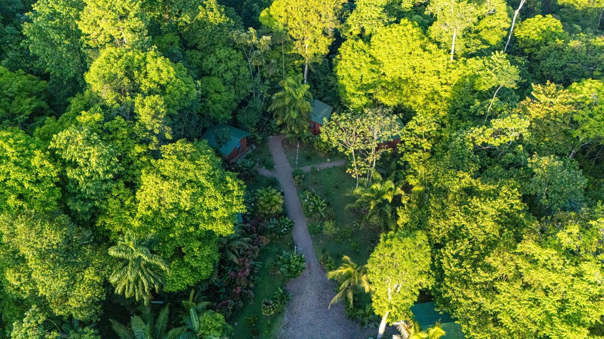 Citronela Lodge Corcovado Drake Bay Bagian luar foto