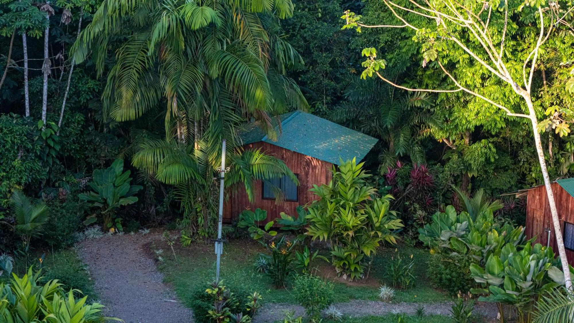 Citronela Lodge Corcovado Drake Bay Bagian luar foto