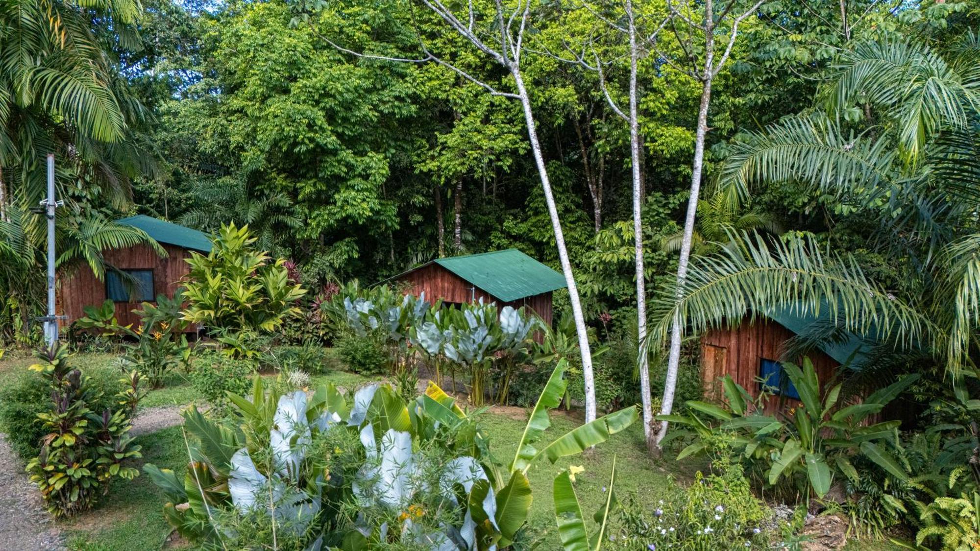 Citronela Lodge Corcovado Drake Bay Bagian luar foto