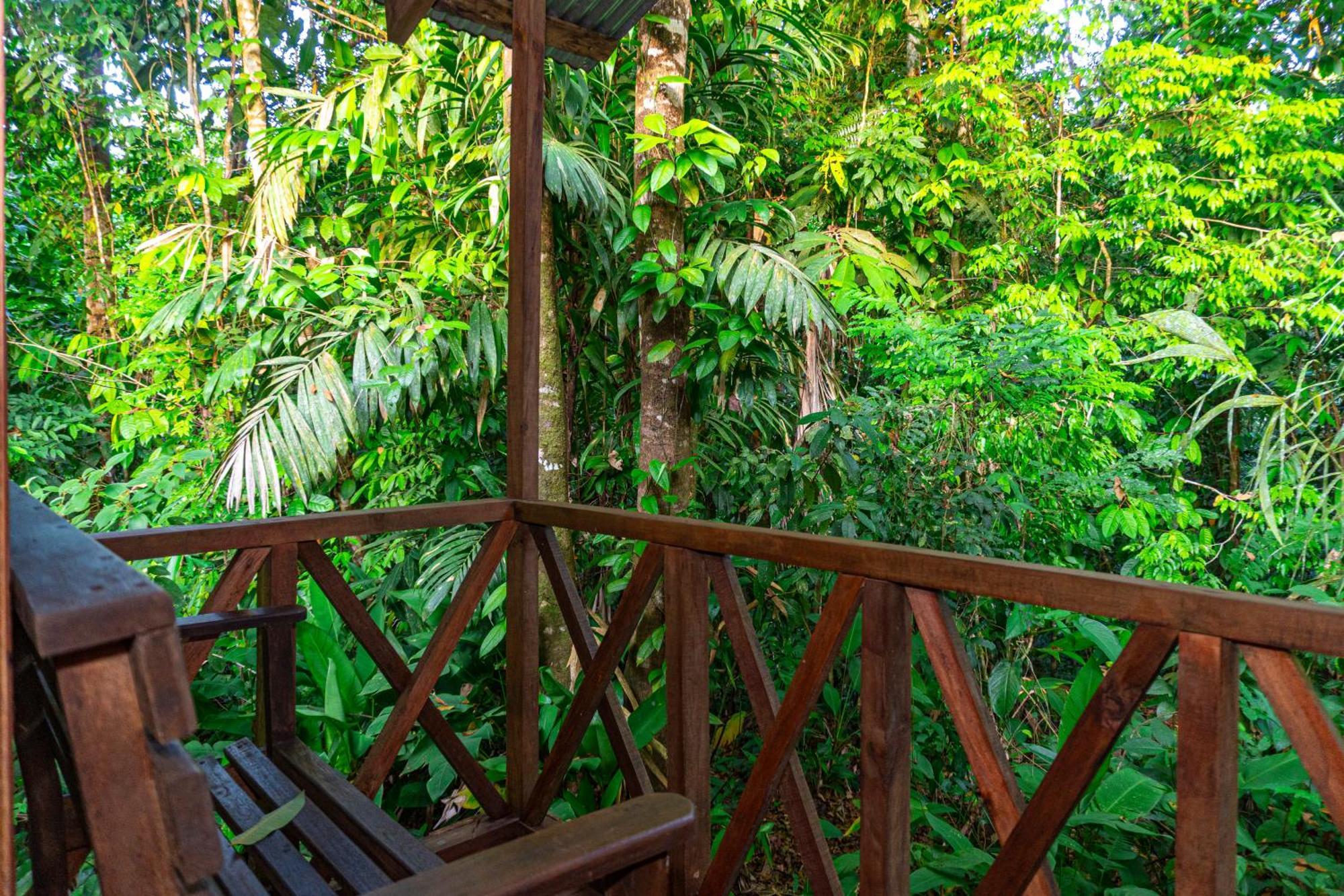 Citronela Lodge Corcovado Drake Bay Bagian luar foto