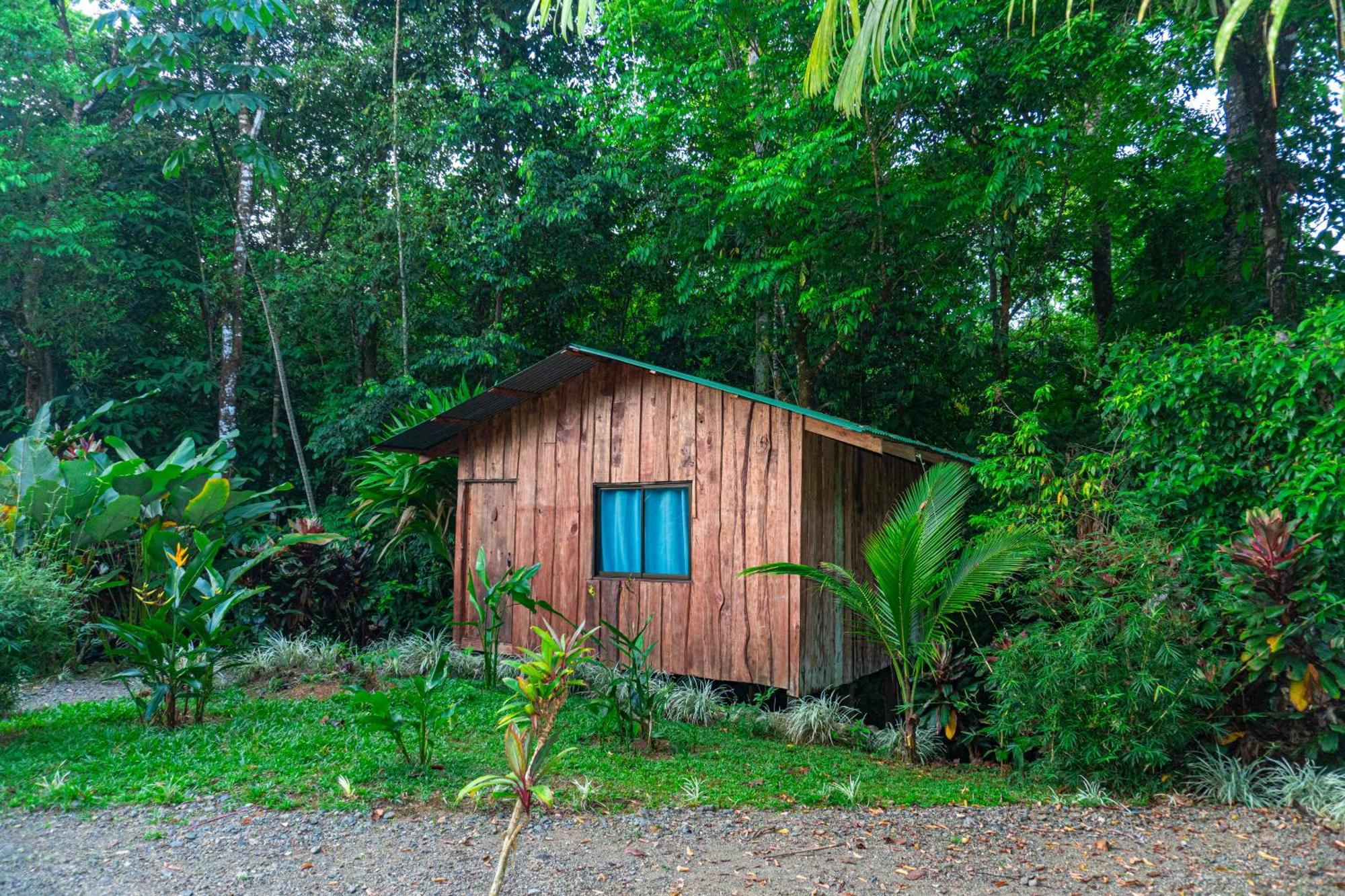 Citronela Lodge Corcovado Drake Bay Bagian luar foto