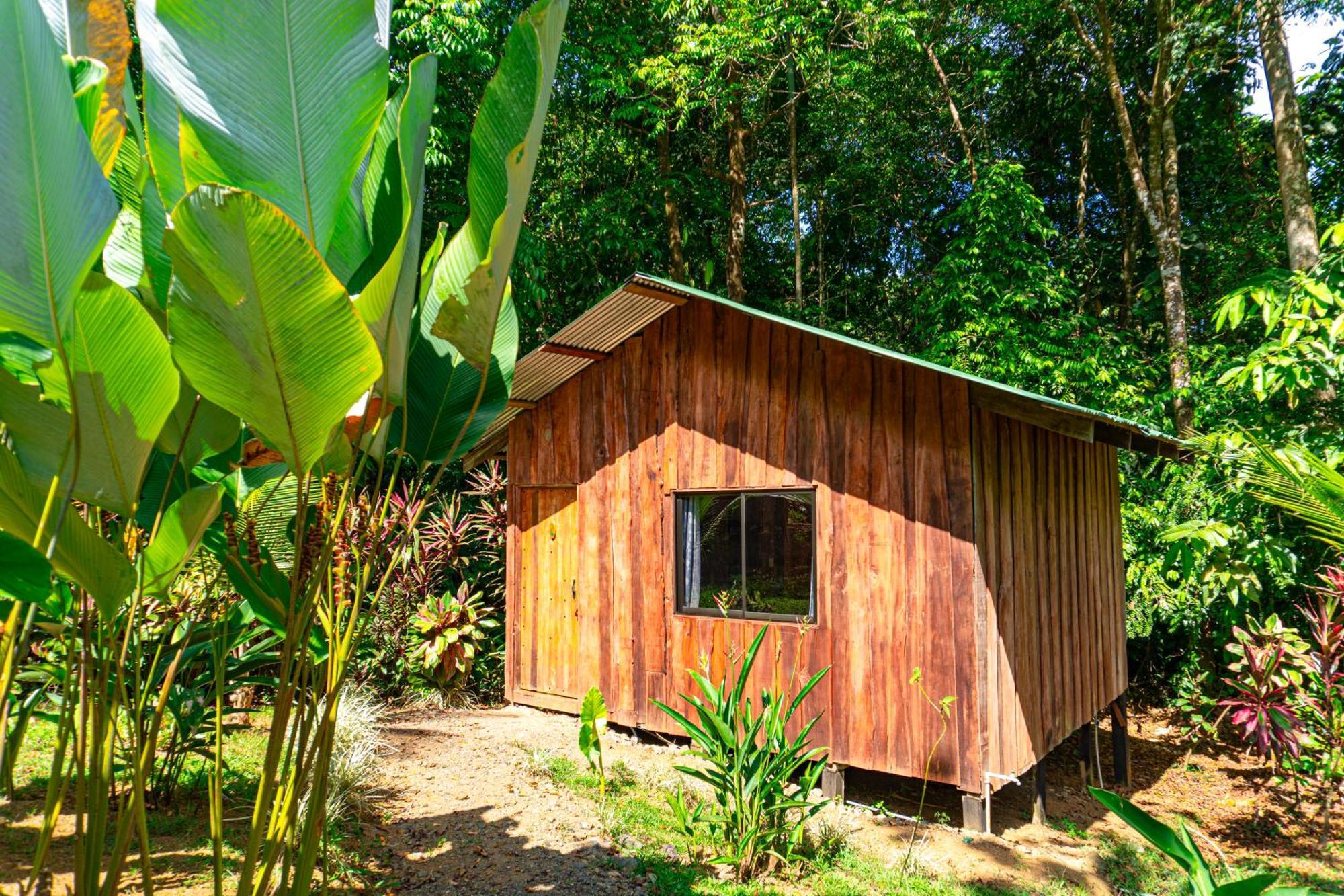 Citronela Lodge Corcovado Drake Bay Bagian luar foto