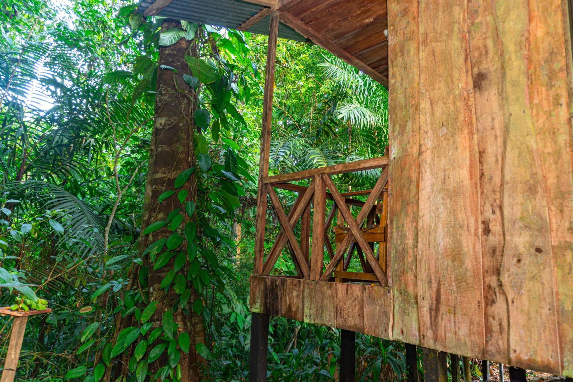 Citronela Lodge Corcovado Drake Bay Bagian luar foto