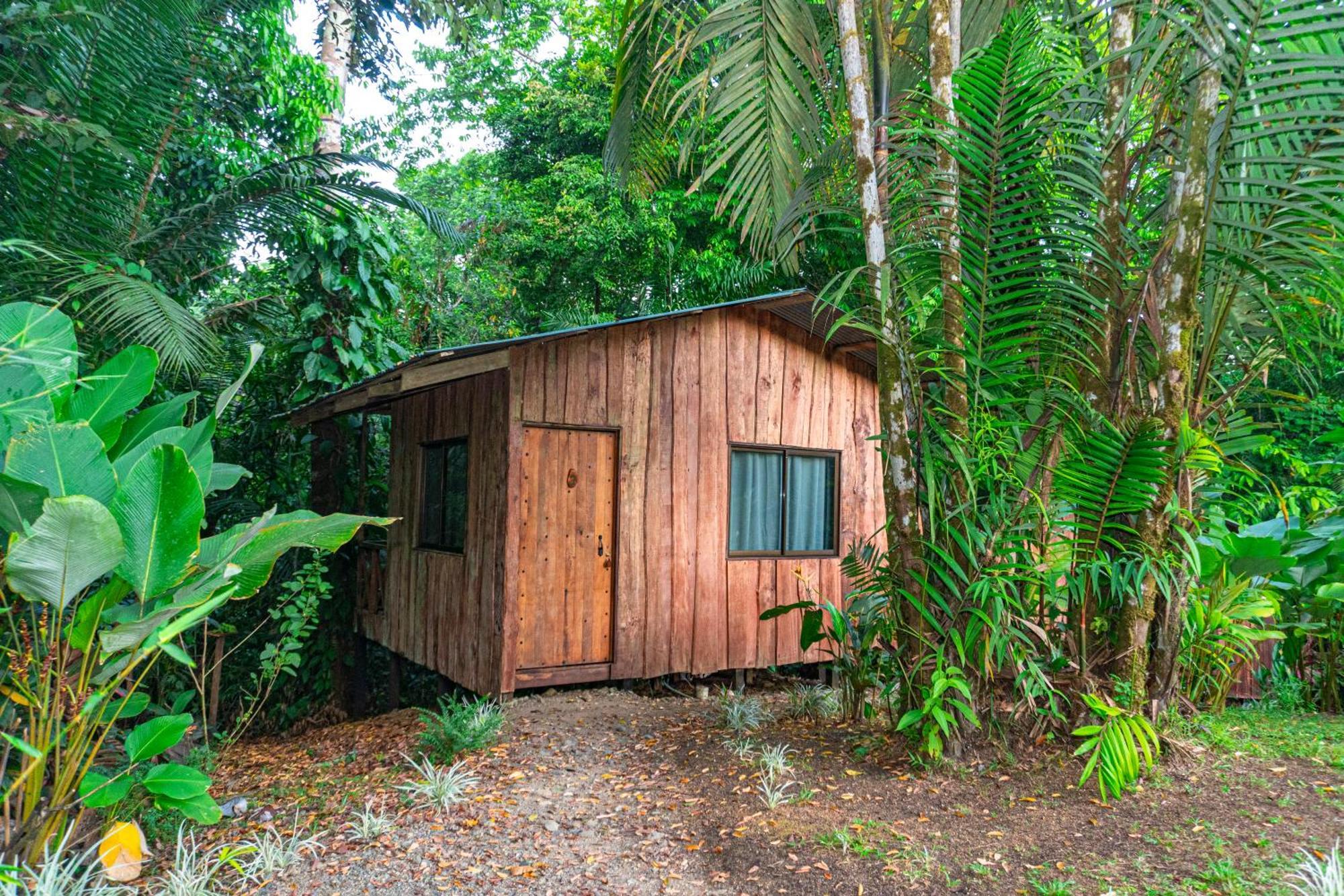 Citronela Lodge Corcovado Drake Bay Bagian luar foto