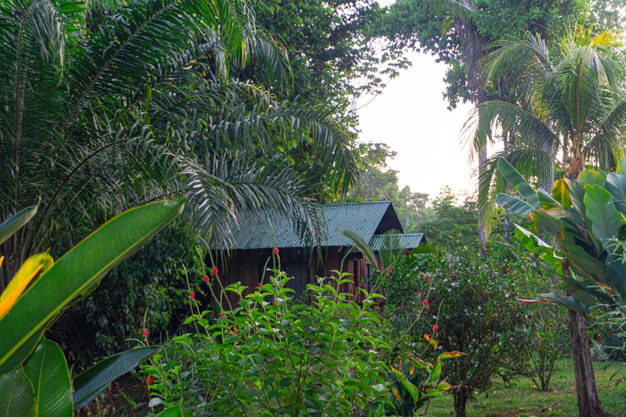 Citronela Lodge Corcovado Drake Bay Bagian luar foto