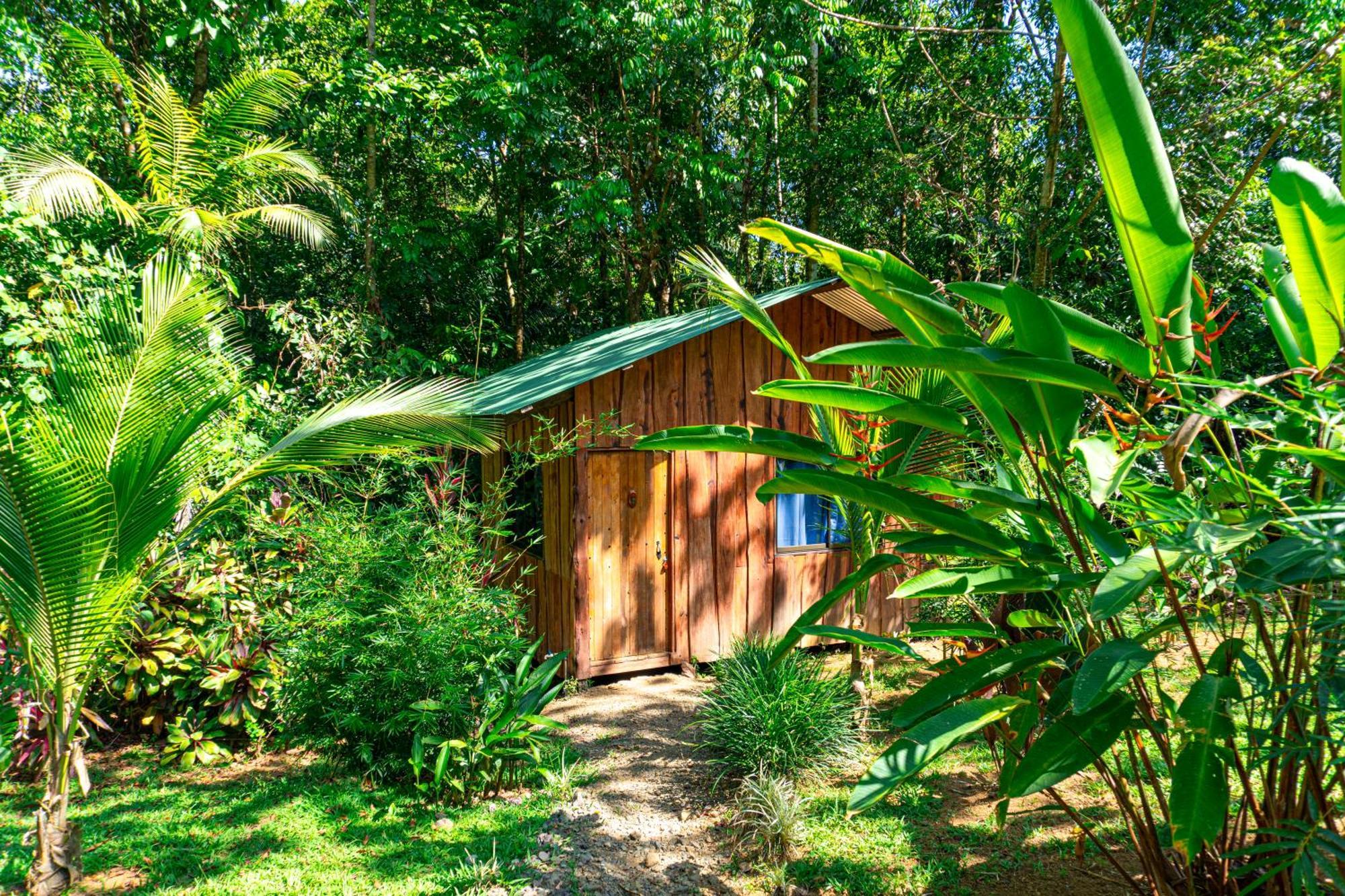 Citronela Lodge Corcovado Drake Bay Bagian luar foto