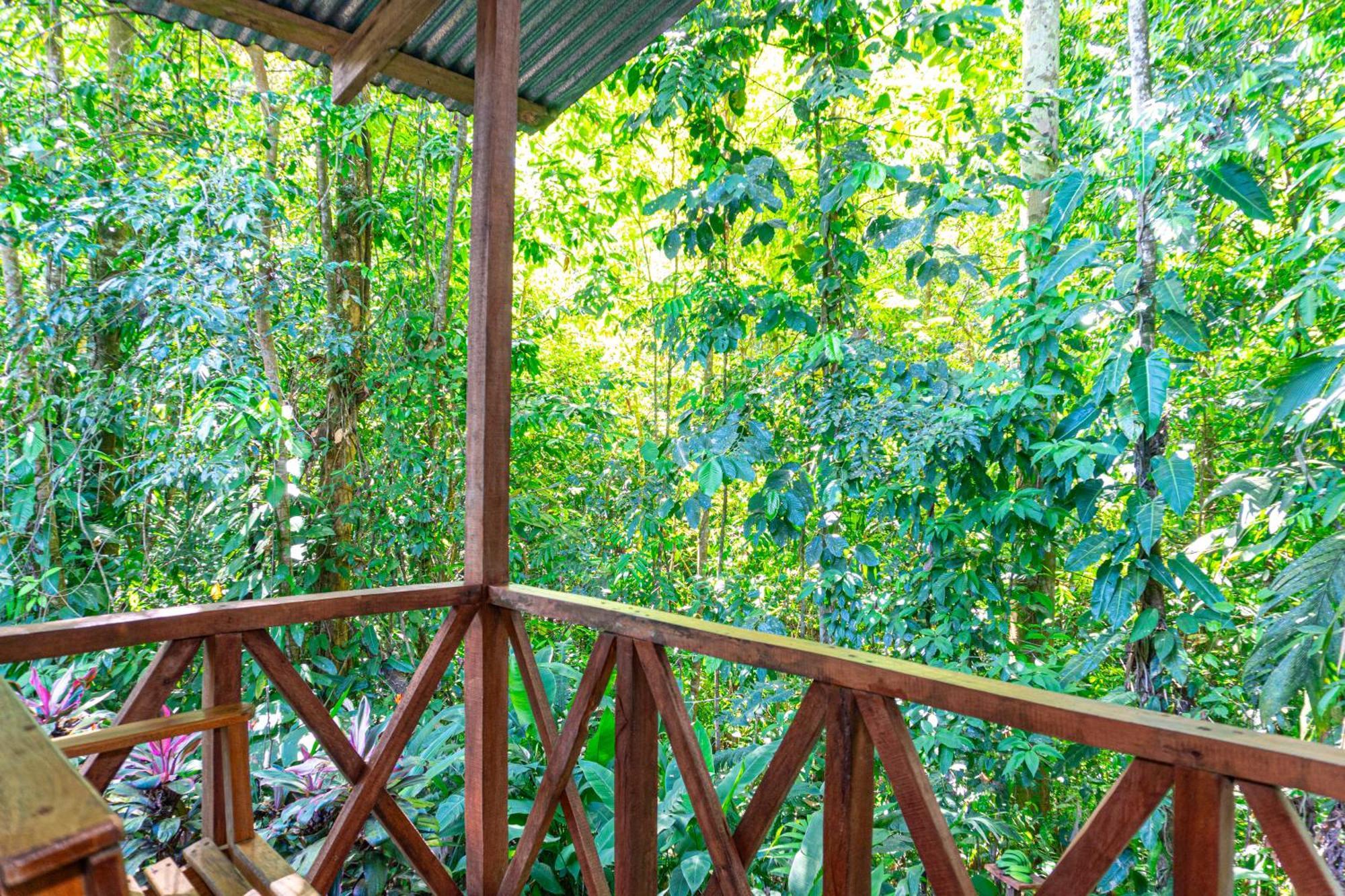 Citronela Lodge Corcovado Drake Bay Bagian luar foto
