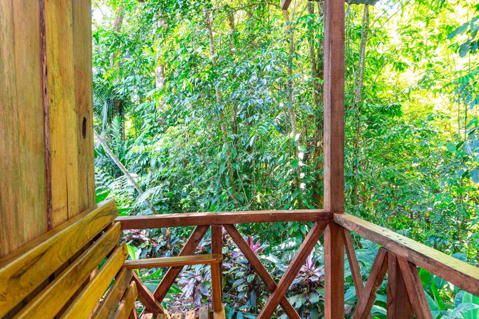 Citronela Lodge Corcovado Drake Bay Bagian luar foto