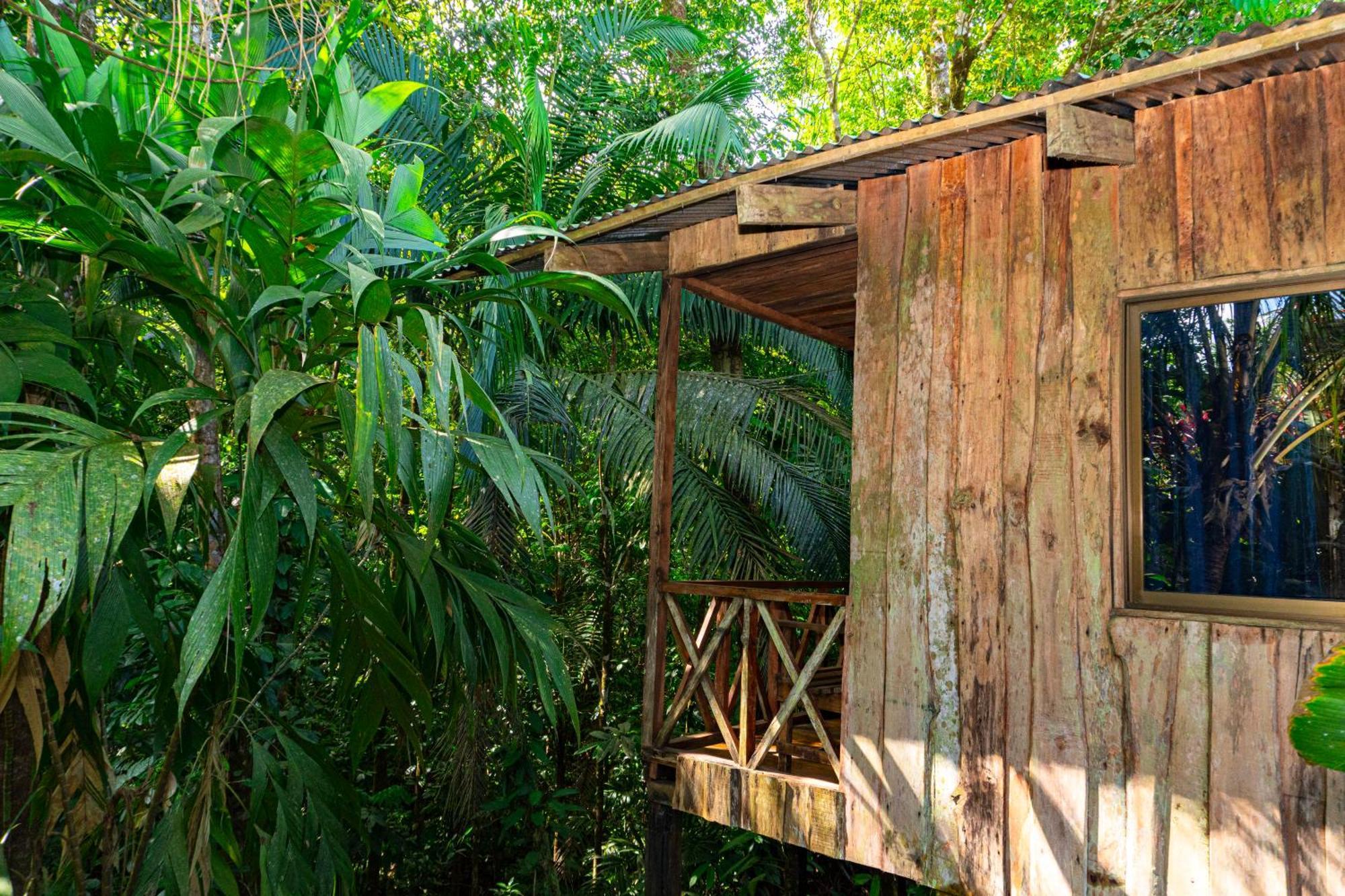Citronela Lodge Corcovado Drake Bay Bagian luar foto
