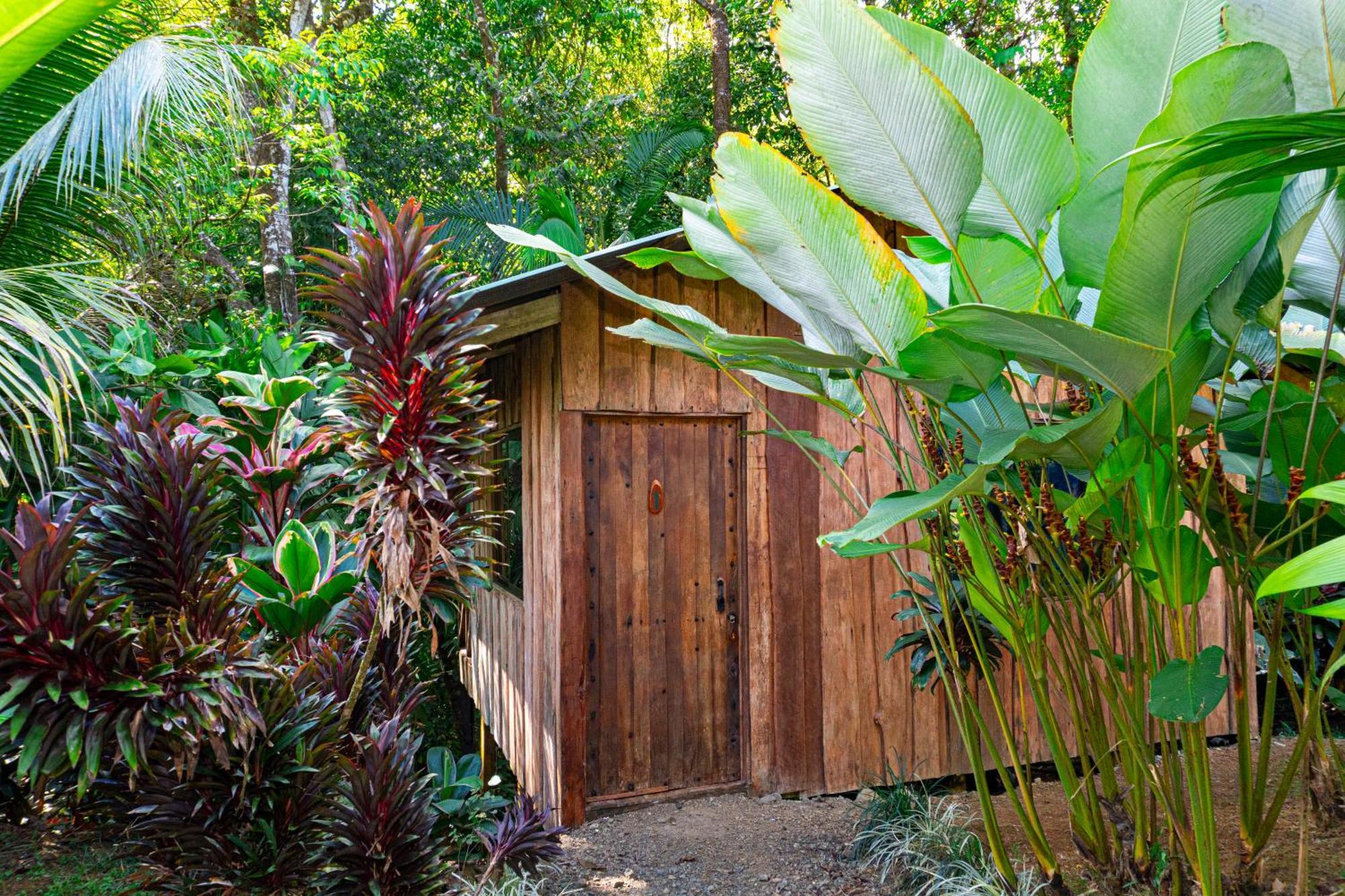 Citronela Lodge Corcovado Drake Bay Bagian luar foto