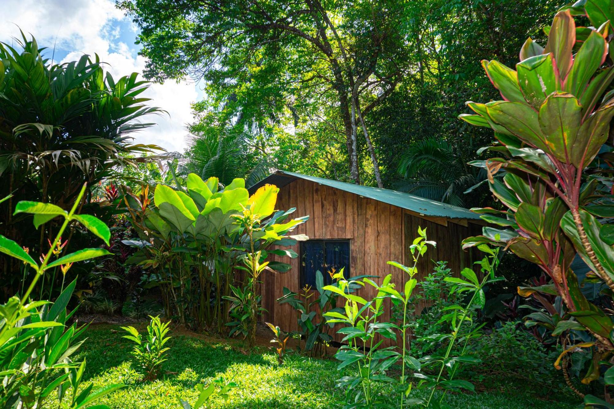 Citronela Lodge Corcovado Drake Bay Bagian luar foto