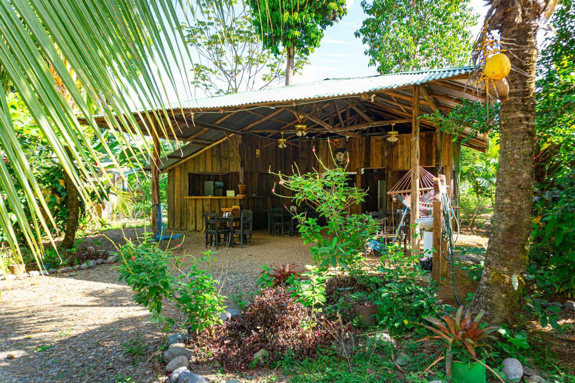 Citronela Lodge Corcovado Drake Bay Bagian luar foto