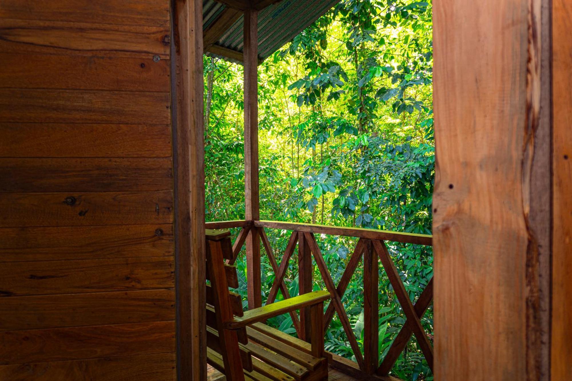 Citronela Lodge Corcovado Drake Bay Bagian luar foto